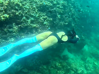 Im Your Little Mermaid