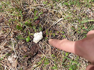 Pee on the Ground Near Truck Wheel