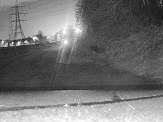 Wagon driver flashes his lights so I give him a flash