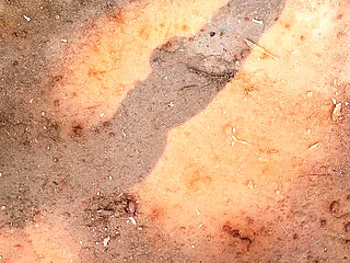 Wild Orgy with Magnificent Babes Lucy Belle & Rubi Diamond - Anal Gangbang DP