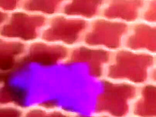 Secret Hotel Meeting Place