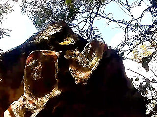 Lovely honey in A village mountain