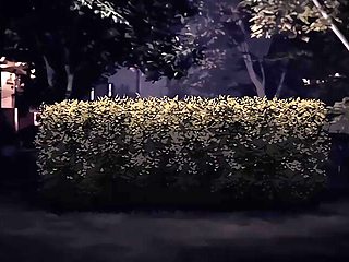 Moment of the Figure_24012604p0