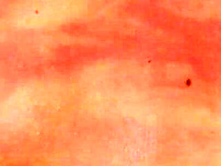 Policeman Tyron breast whip