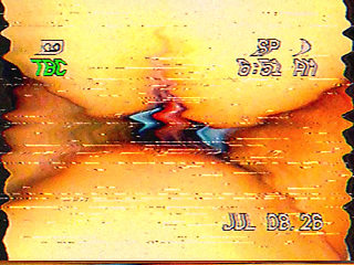 Vhs Tape - Homemade Blowjob and Wild Sex