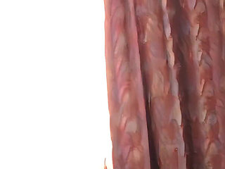 Busty Susi Go Out to Make Clear a Fuck Date