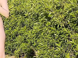 Volleyball Behind the Scenes