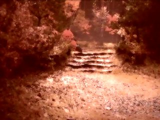 Passionate Impulse inside the night_171027p0002