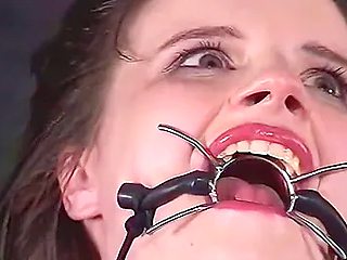 Insex - Az Live Feed