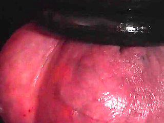 You Like to Try Electro