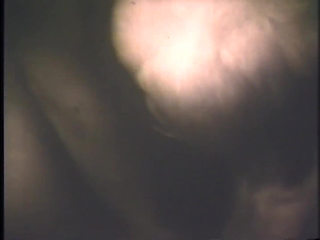 The Gozona Pig Gets Milk