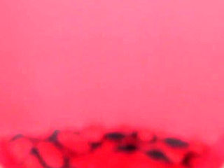 Students Fucked in Tution Batch Hindi Audio