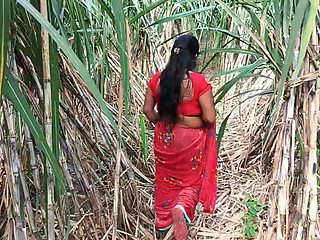 My step mom in sugarcane farming