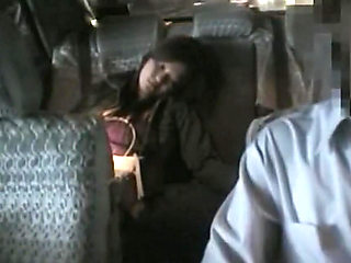 The Woman Dragged Into Car Sex