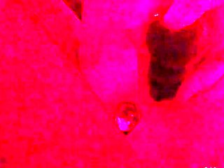 Beautiful Sonya having a horny solo toy masturbation