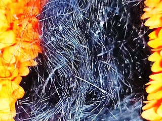 Indian Step Daughter Crazy Fucking Father in Law, Telugu Dirty Talks