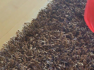 Bouncy ball fun and orgasm