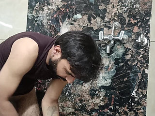 Sex within two love birds