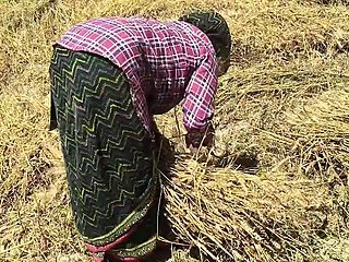 The sister-in-law got romantic in the field and started fingering her stuff