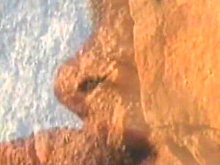 Sins of the Sex-hungry