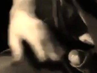 Harter Analsex mit deutscher Mutter in Nylonstrmpfen (Vinta