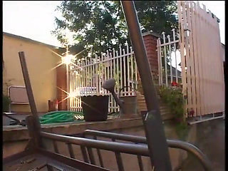 The black forest - DVD