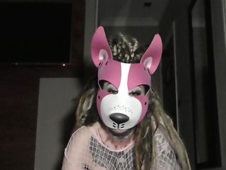 Tattooed hottie in a mask, sucking cock on camera