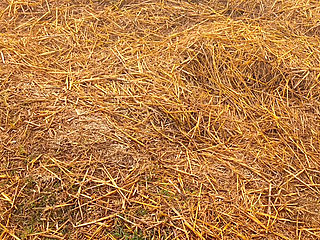 Indian beautiful my wife desi girl sex video porn video XX video hot sexy video