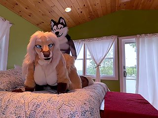 Sexy Amateur Couple Hardcore Webcam Action Porn