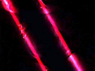 I Don’t Care About the Other People in the Office