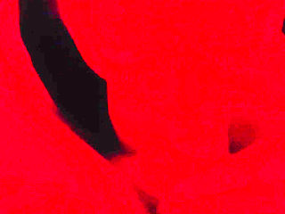 She sucks me up so so excellent