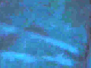 CDZZRBECHWNSWZSRCM31JUR660
