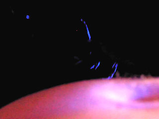 Rubber Big Ass Milf Goddess Eva Latex Suck Big Dick Fuck Pussy Cum Gonzo