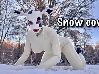 Snow Cow