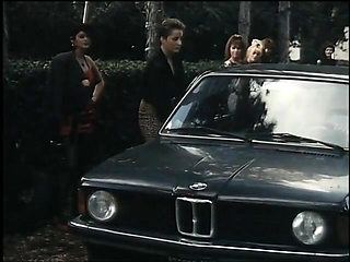 Vintage anal sex in car