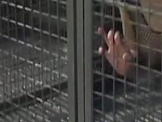 Caged Lesbian Sluts Dildo Drilling Dripping Pussies