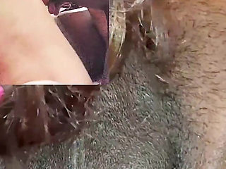 POV Sex, Front and Back View of Amateur Romantic Couple Sex