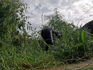 Calla video