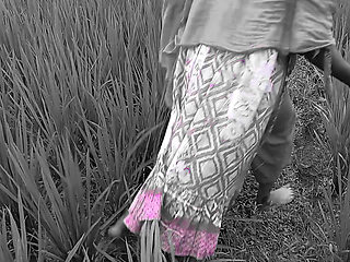 Deshi Outdoor bangli Video Rice field Working & Loving Together