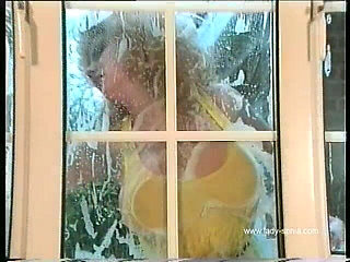 The Window Cleaner
