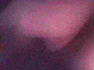 Taking the wife from behind