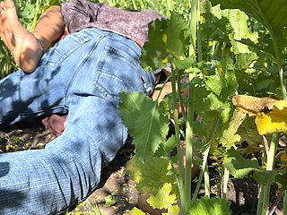 Sasumaa Jamai ke sath outside kheto me romance xxx video