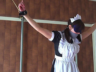 A Restrained Maid Writhing in Pleasure From a Remote-controlled Vibrator