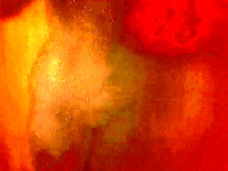 Every Drop Feels Better When You Watch