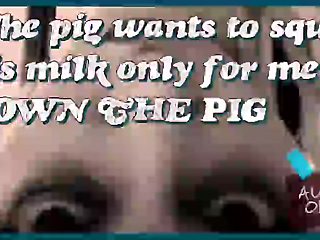 The Pig Wants to Unload Its Milk Only for Me