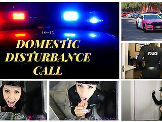 DOMESTIC DISTURBANCE CALL