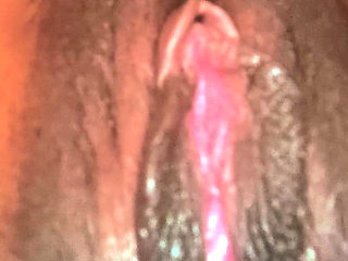 All My Pussy