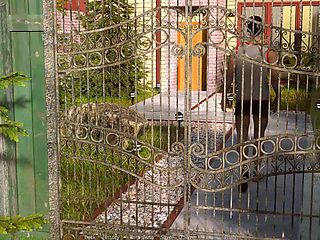 Nursing back to pleasure: wife got caught cheating her husband with another woman ep 79, 80