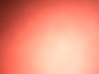 Had Somebody Screaminng