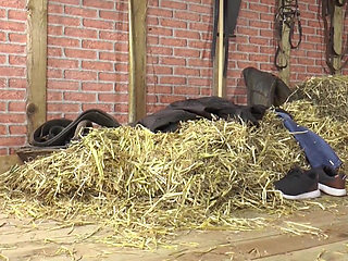 Busty Slut Deepthroats Bull Cock and Gets Pussy & Ass Pounded Raw!